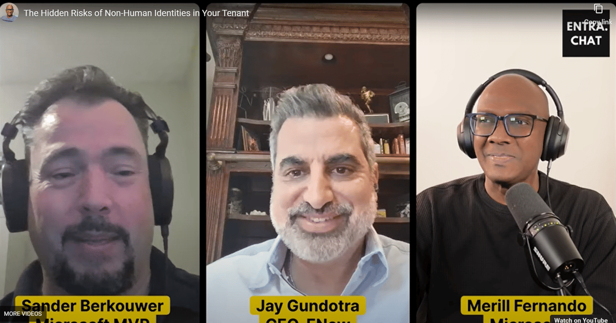 Entra ID application governance lessons from Entra.Chat